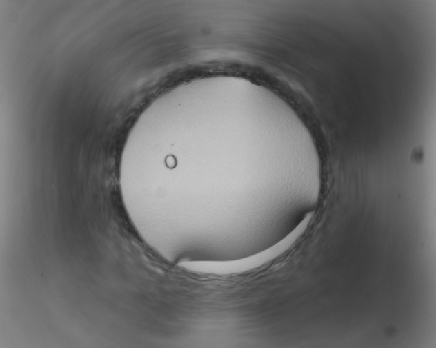 X0000115170965200911251330