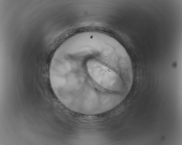 X0000115170966200911251330