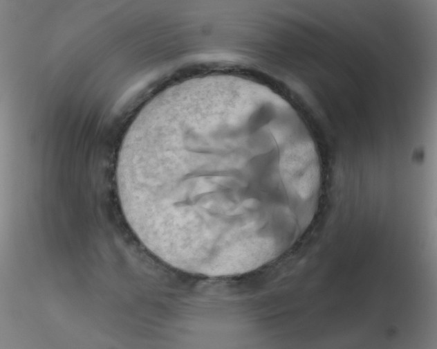 X0000115170967200911251330