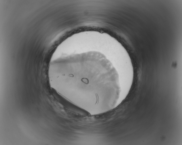 X0000115170968200911251330