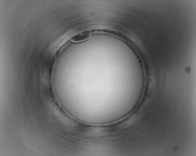 X0000115170969200911251330