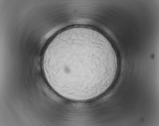 X0000115170970200911251330