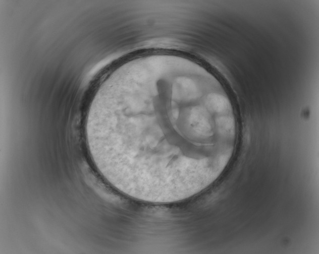 X0000115170971200911251330