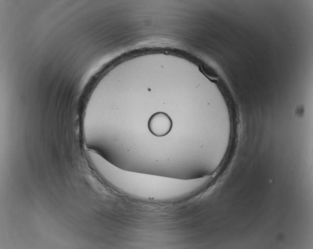 X0000115170973200911251330