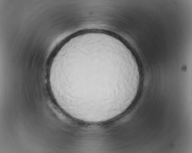 X0000115170974200911251330