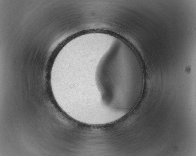 X0000115170975200911251330