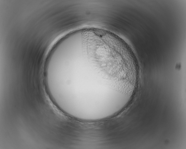 X0000115170976200911251330