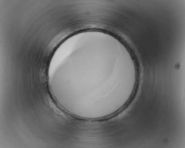 X0000115170977200911251330