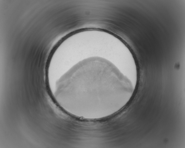 X0000115170980200911251330