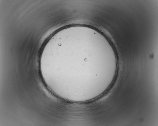 X0000115170981200911251330