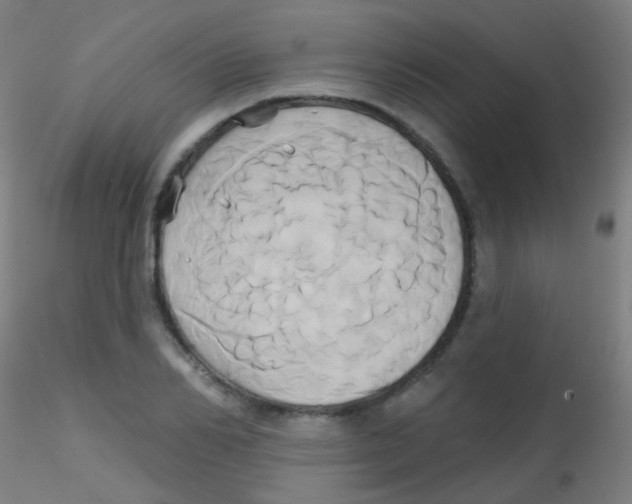 X0000115170982200911251330