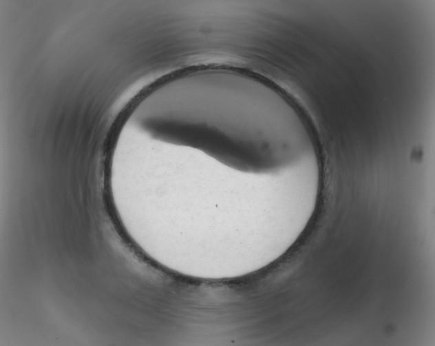 X0000115170983200911251330