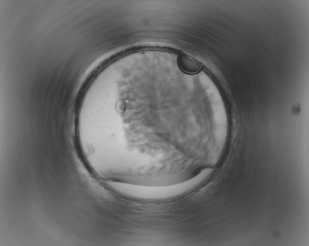 X0000115170984200911251330