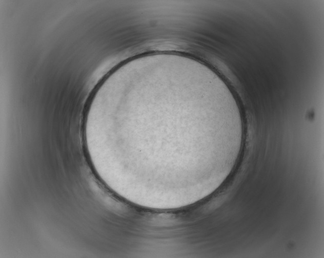 X0000115170986200911251330