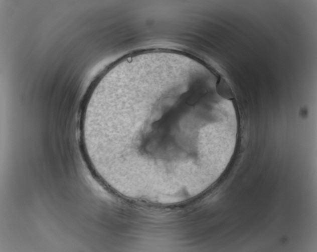 X0000115170987200911251330