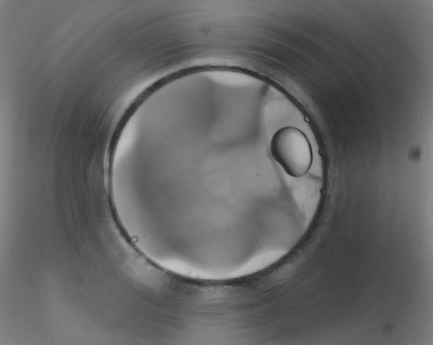 X0000115170988200911251330