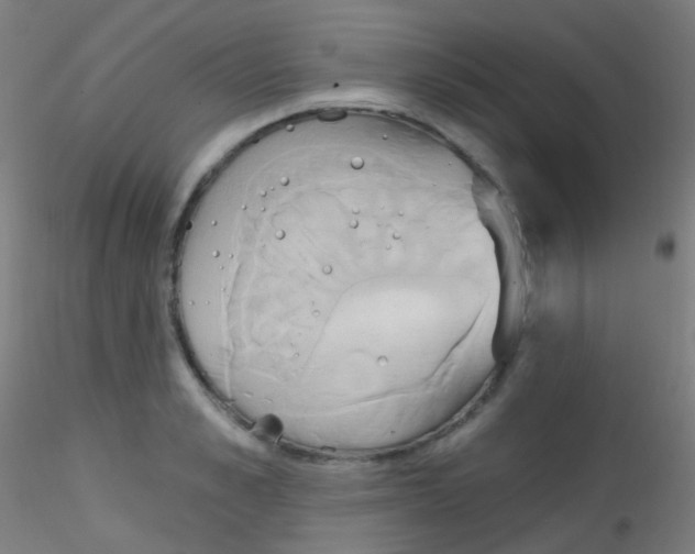 X0000115170989200911251330