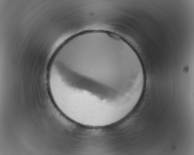 X0000115170990200911251330