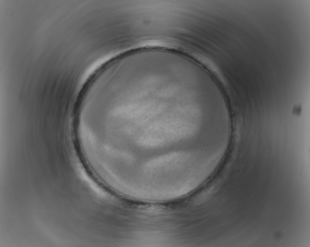 X0000115170991200911251330