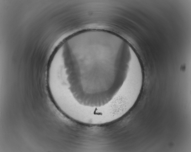 X0000115170992200911251330