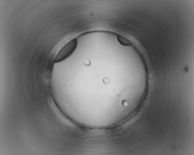 X0000115170993200911251330