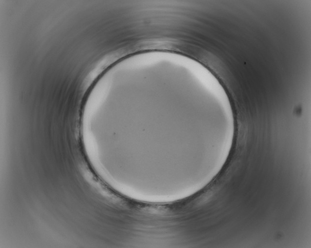 X0000115170994200911251330