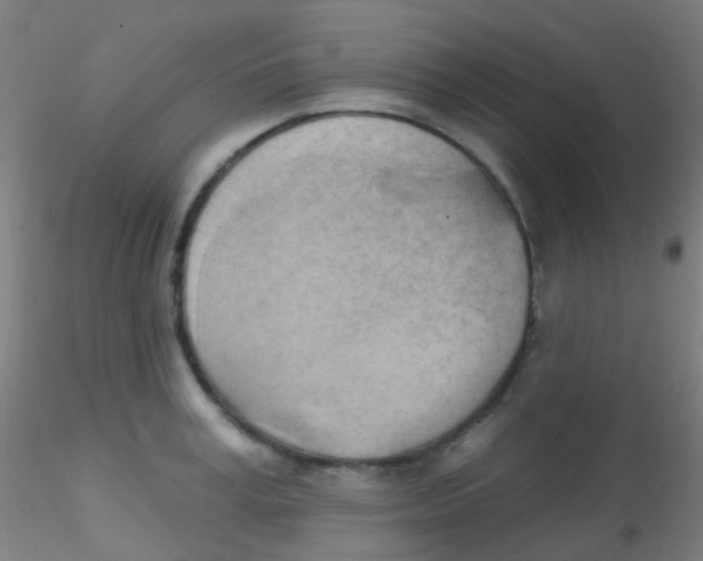 X0000115170995200911251330