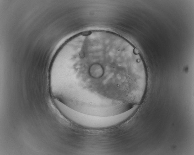 X0000115170996200911251330