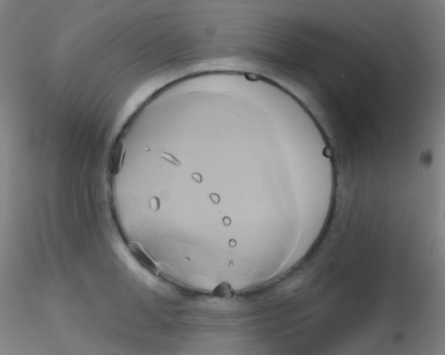 X0000115170998200911251329