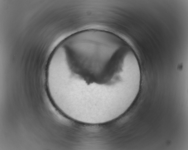 X0000115170999200911251329