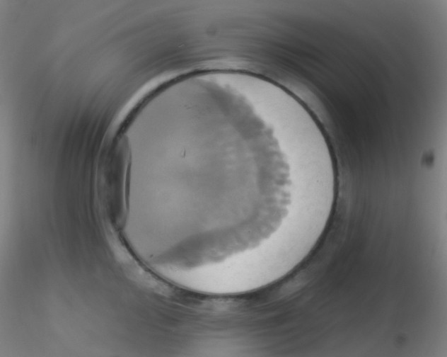 X0000115171000200911251329