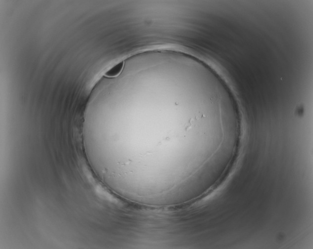 X0000115171001200911251329