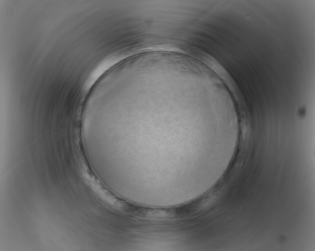 X0000115171002200911251329