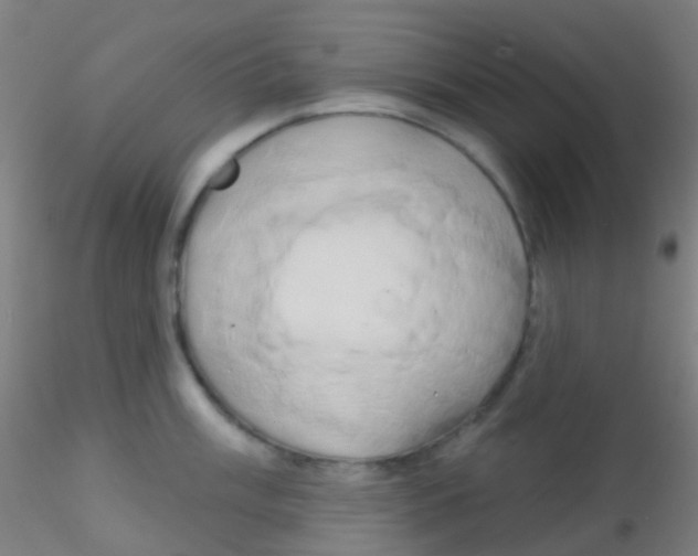 X0000115171003200911251329