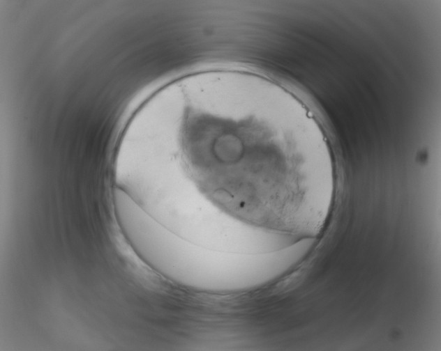 X0000115171004200911251329