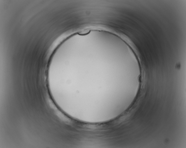 X0000115171005200911251329