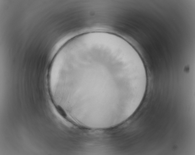 X0000115171006200911251329