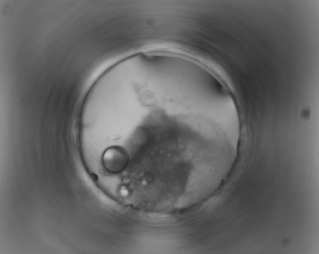 X0000115171007200911251329