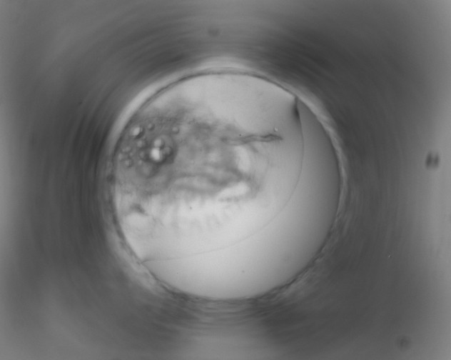 X0000115171008200911251329