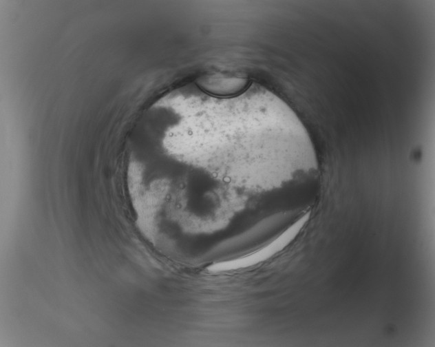 X0000115171009200911251329