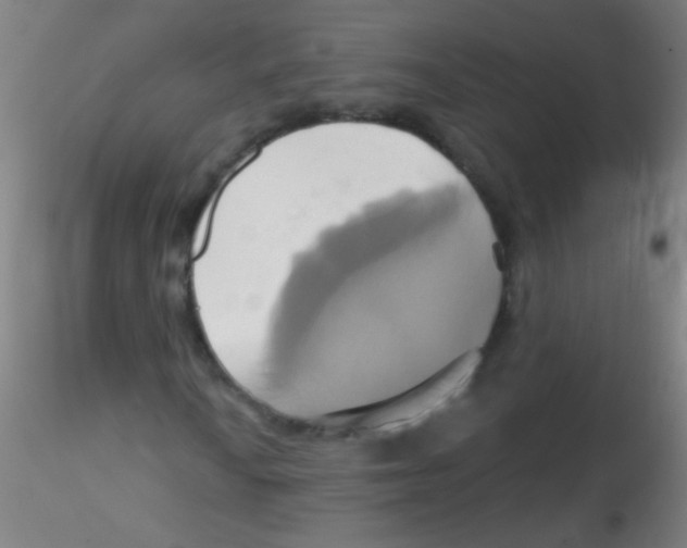 X0000115171010200911251329