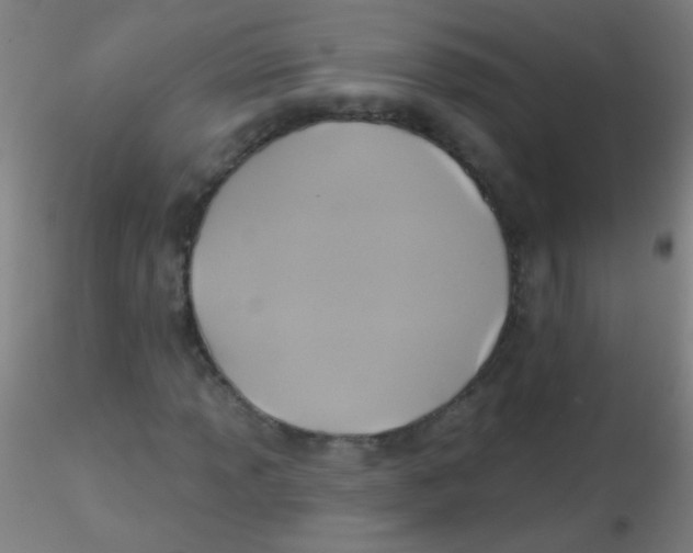 X0000115171013200911251329