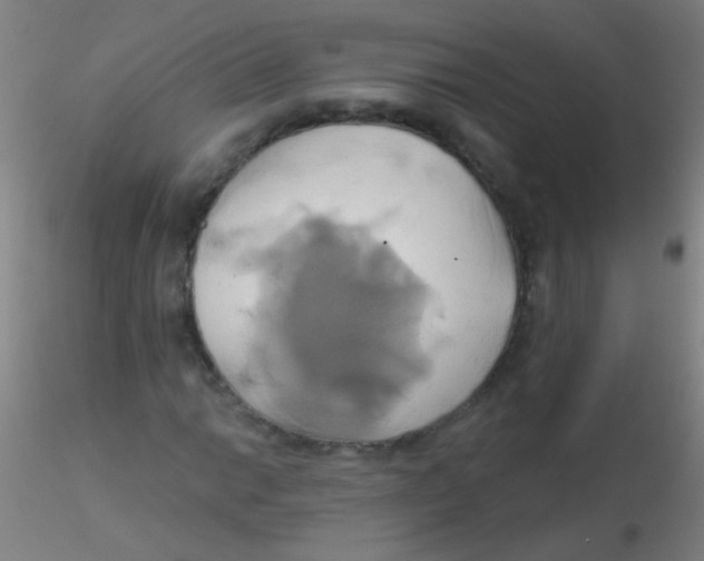 X0000115171014200911251329