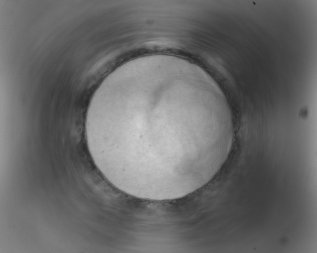 X0000115171015200911251329