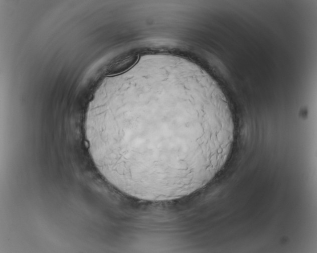 X0000115171016200911251329