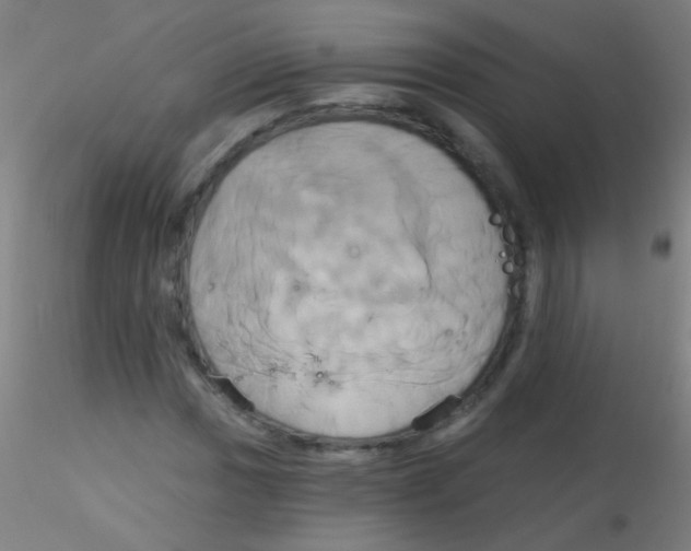 X0000115171017200911251329