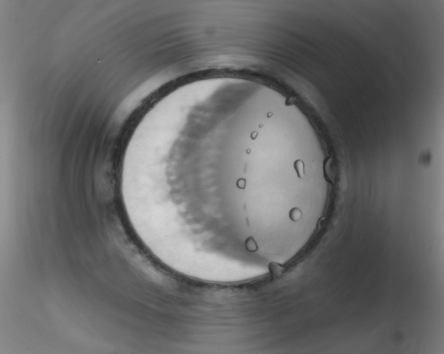 X0000115171018200911251329