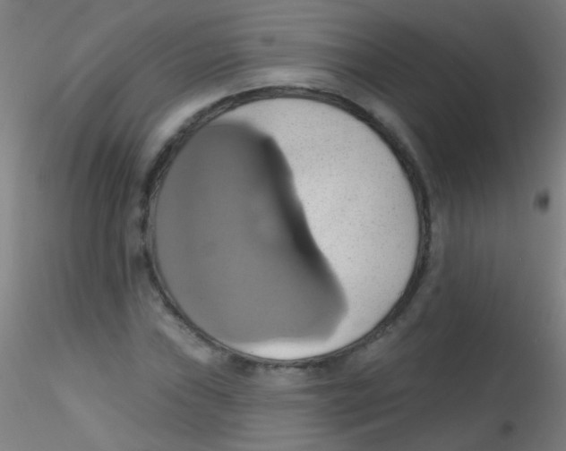 X0000115171019200911251329