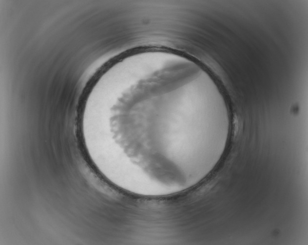 X0000115171020200911251329