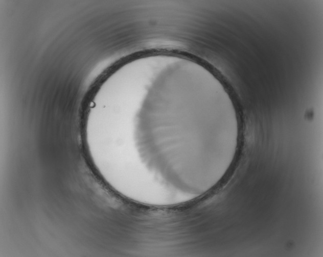 X0000115171022200911251329